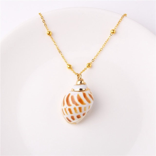 Exquisite Sea Shell Pendant Necklace