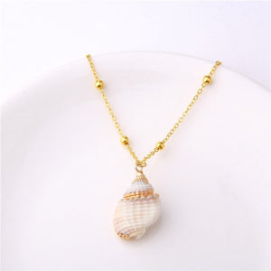 Exquisite Sea Shell Pendant Necklace