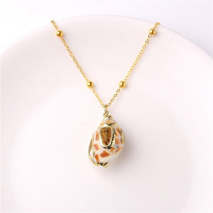 Exquisite Sea Shell Pendant Necklace